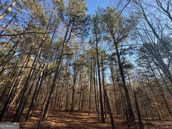 a view of a backyard of the house