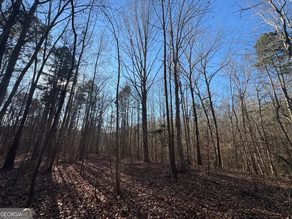 a view of a city street view