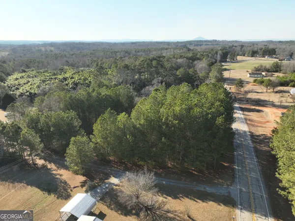 an aerial view of forest