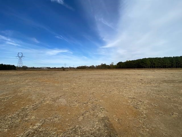 1093 Turlington Road Dunn, NC 28334 - Photo 12 of 13 Photo 12