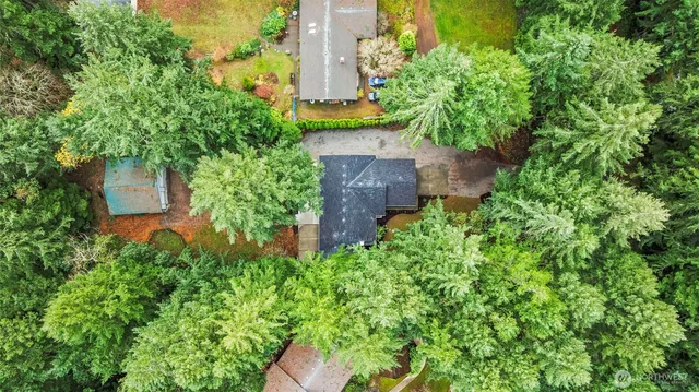 an aerial view of a house with a yard and large trees
