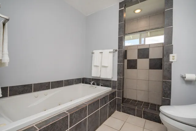 a bathroom with a bathtub and a toilet