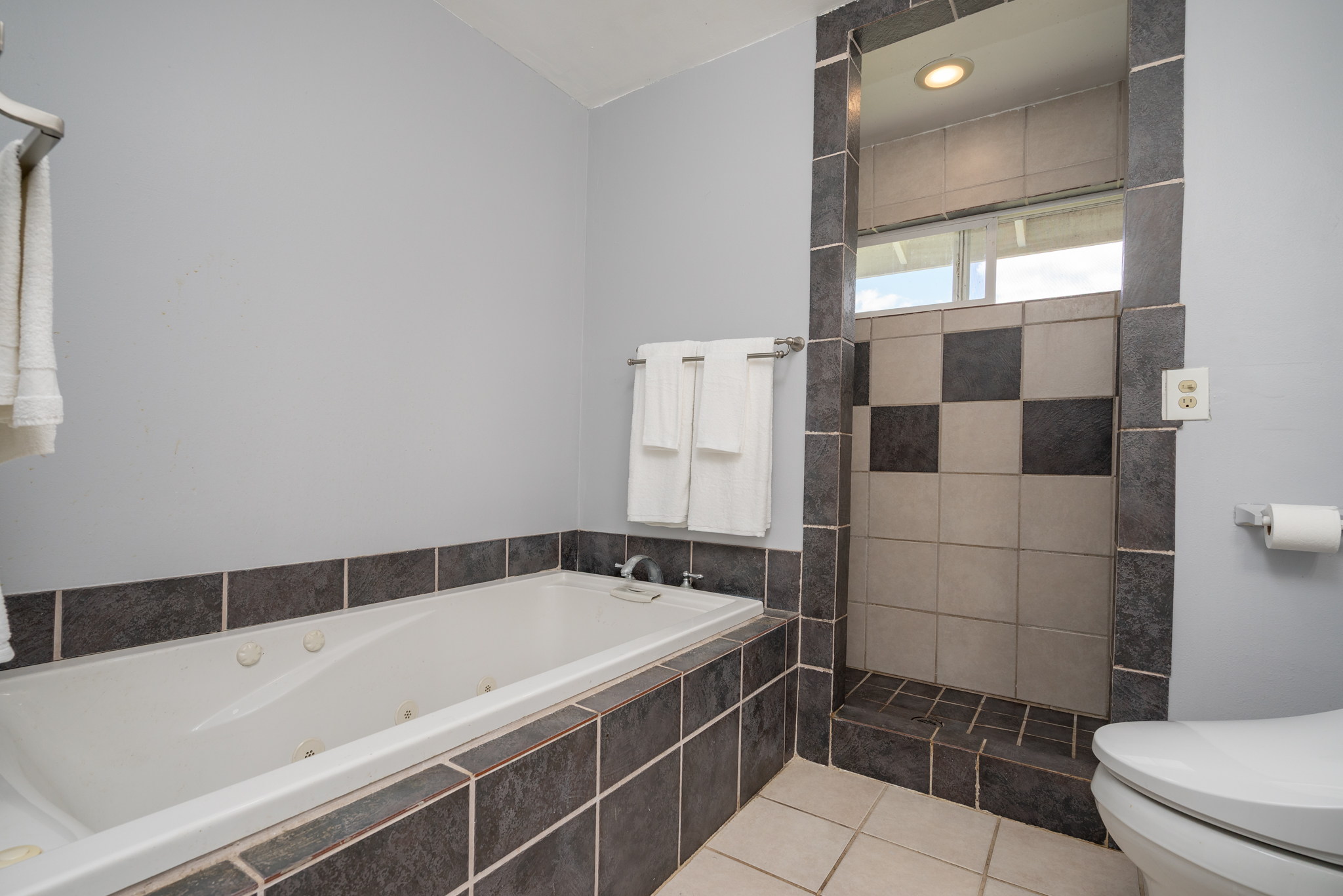 18-3840 South Lauko Road Mountain View, HI 96771 - Photo 12 of 30 a bathroom with a bathtub and a toilet