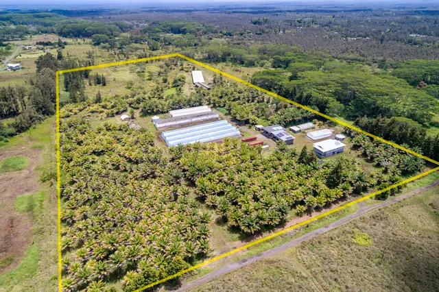 a view of a yard with wooden fence