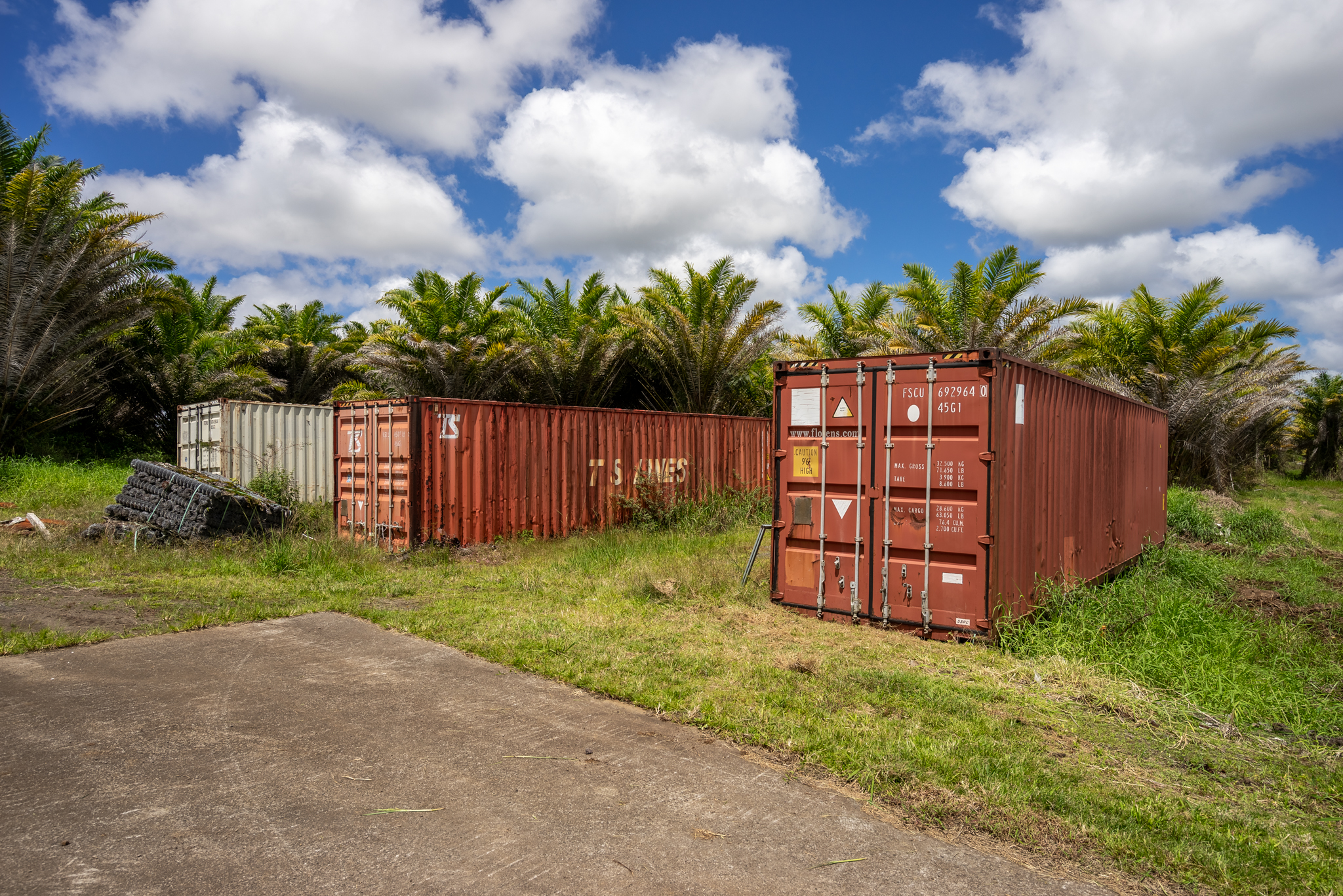 18-3840 South Lauko Road Mountain View, HI 96771 - Photo 25 of 30 a view of a back yard with a flower garden