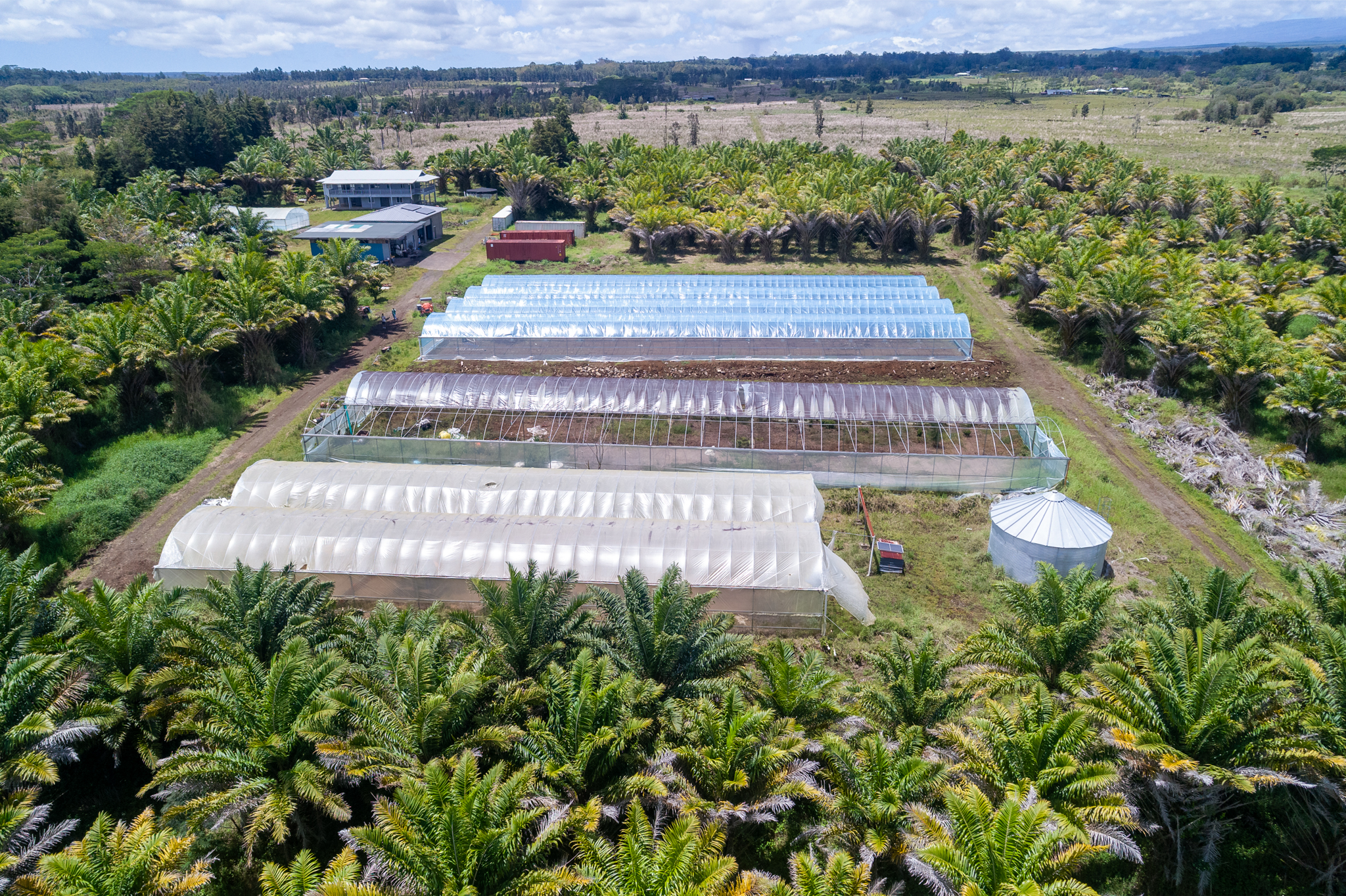 18-3840 South Lauko Road Mountain View, HI 96771 - Photo 25 of 27 a view of a swimming pool with a yard and plants