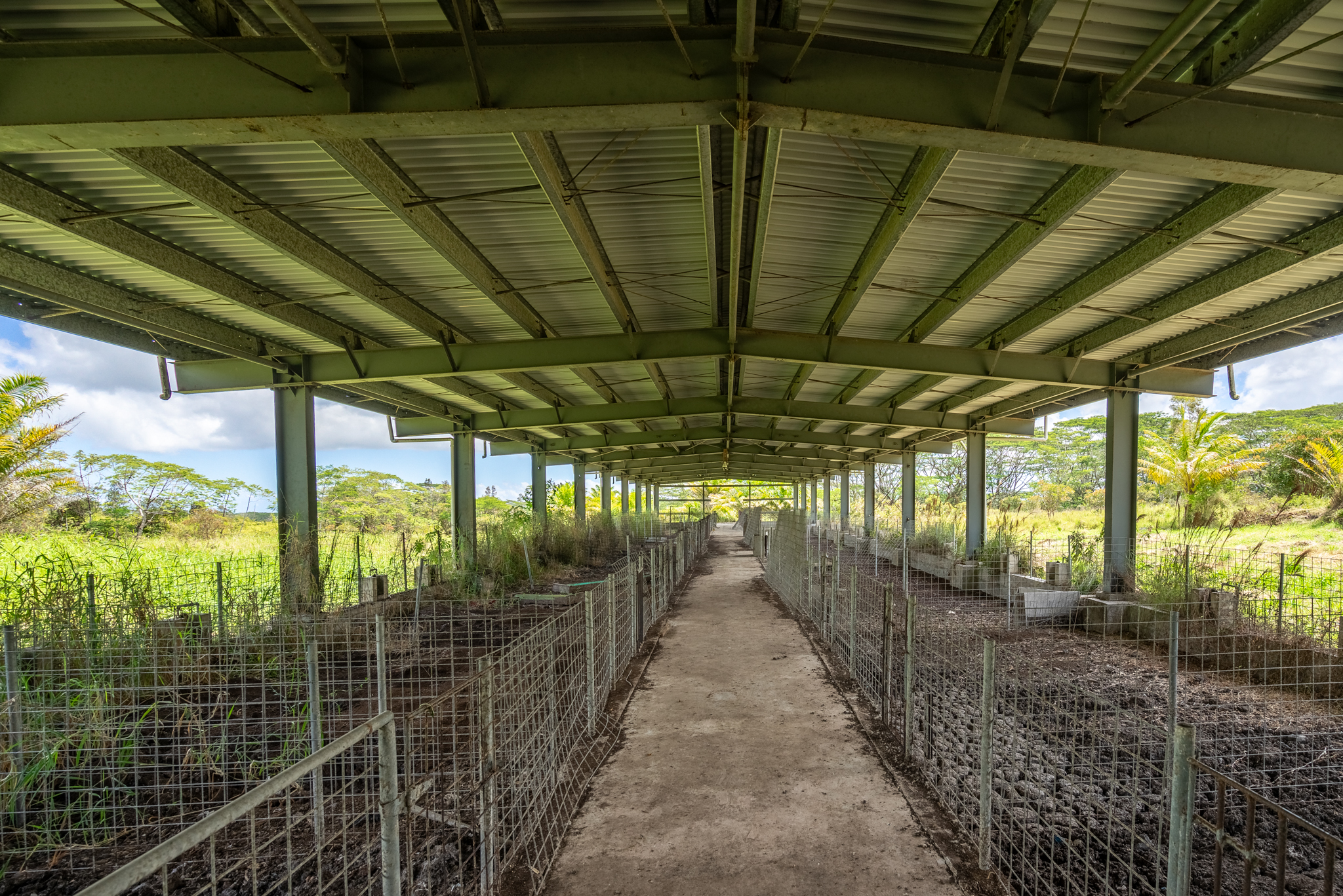 18-3840 South Lauko Road Mountain View, HI 96771 - Photo 27 of 30 a view of a backyard