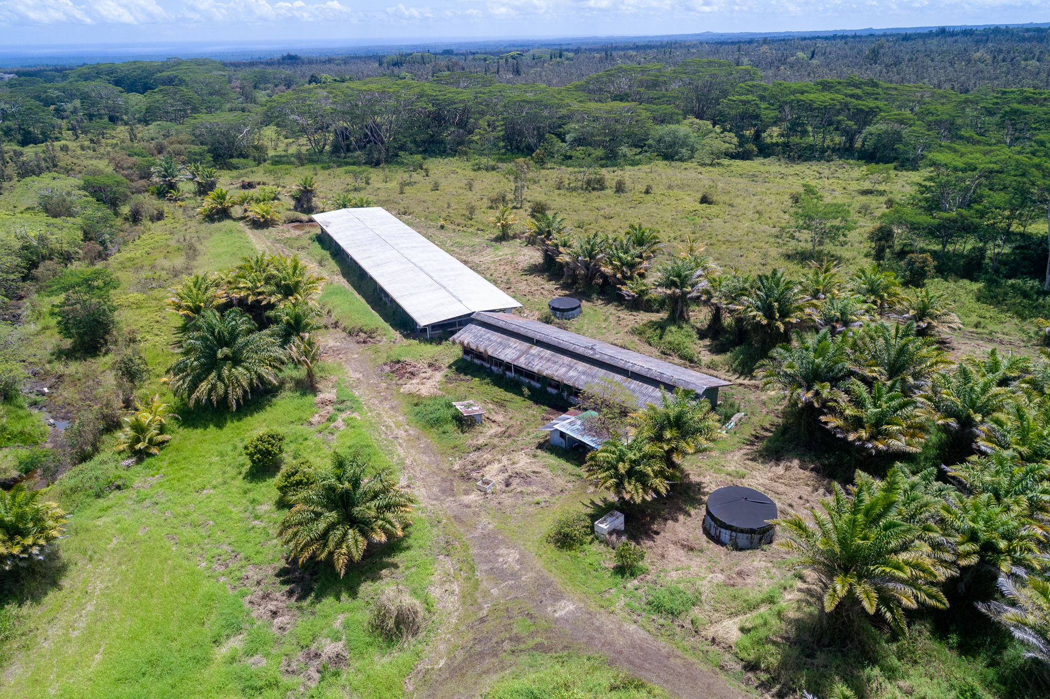 18-3840 South Lauko Road Mountain View, HI 96771 - Photo 3 of 30 an aerial view of green landscape with trees houses and mountain view