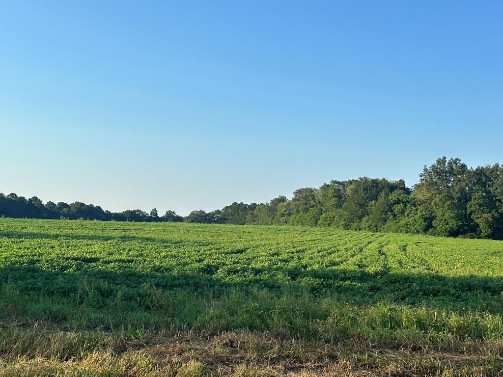 0 Judge Logue Road Newton, AL 36352 - Photo 1 of 4
