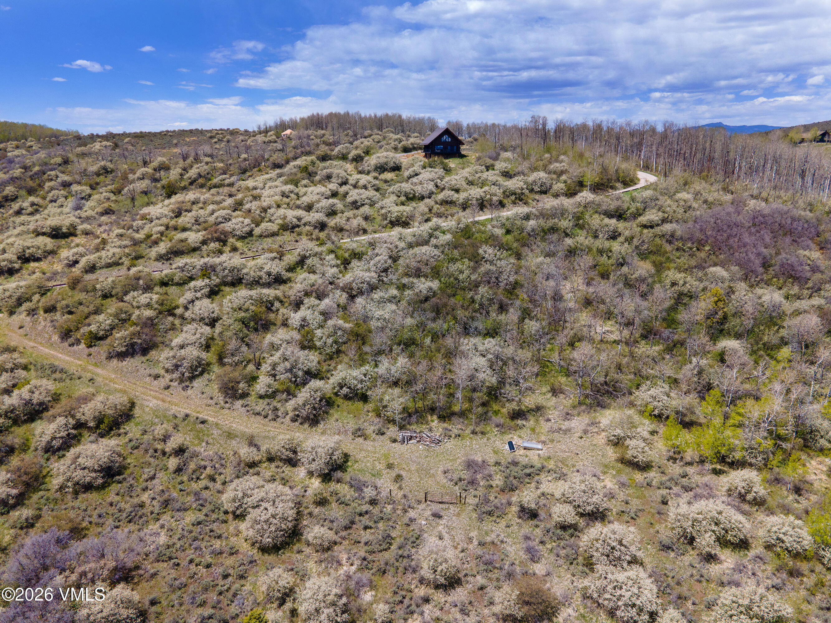 889 Ute Forest Edwards, CO 81632 - Photo 20 of 44 889 Ute Forest Lane Aerial
