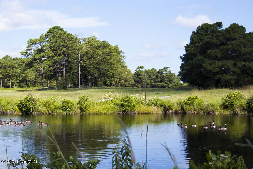 568 Sailor Sky Way, Unit 394 Hampstead, NC 28443 - Photo 32 of 36 WyndWater_Pond