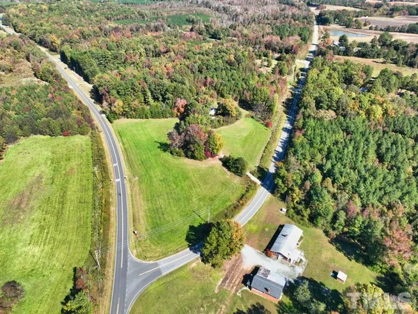 a view of a garden with plants