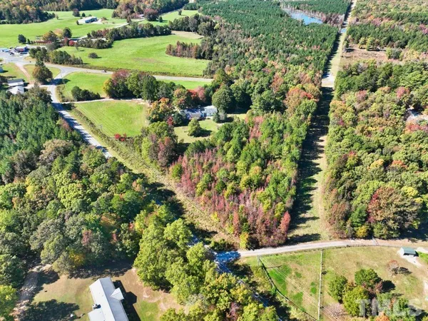 a view of a garden with flowers