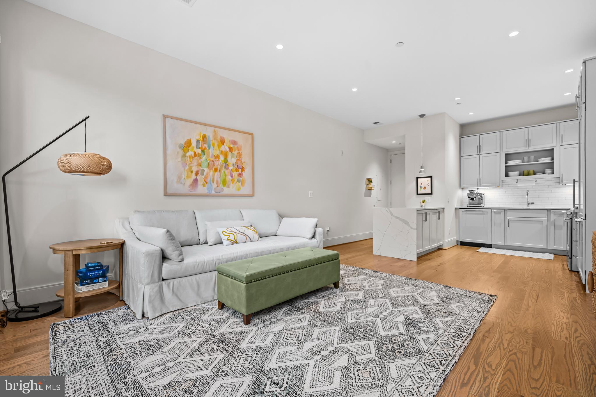 270 15th Street Southeast, Unit 301 Washington, DC 20003 - Photo 6 of 31 a living room with furniture and a rug