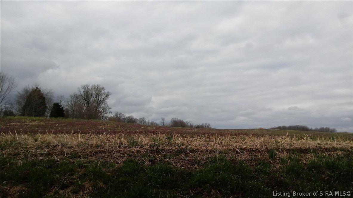 0 Southwest Wiseman Road Corydon, IN 47112 - Photo 4 of 13
