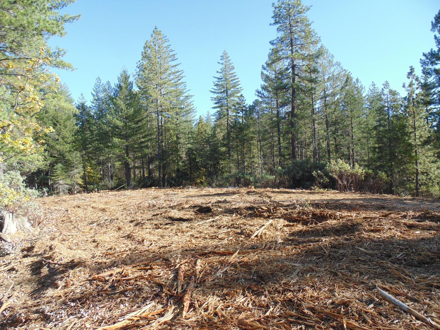 40 Ringtail Road Georgetown, CA 95634 - Photo 13 of 26 Gallery Image 13