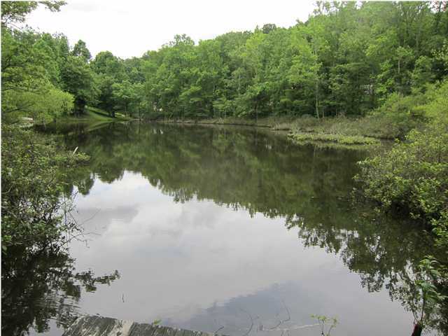 6619 Shirley Pond Road Harrison, TN 37341 - Photo 24 of 32 Additional Photo