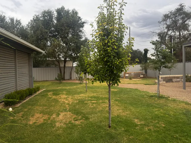 a view of backyard with wooden wall
