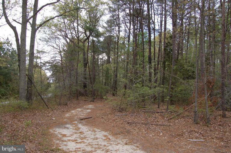 Not On File Colonial Beach Waynesboro, VA 22980 - Photo 5 of 15 View