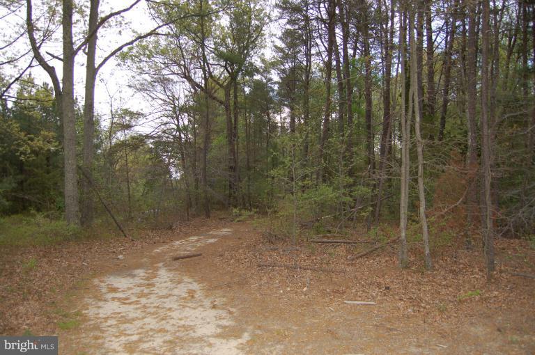 Not On File Colonial Beach Waynesboro, VA 22980 - Photo 8 of 15 View