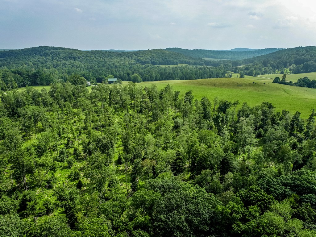 0 Work Drive Sigel, PA 15860 - Photo 5 of 10