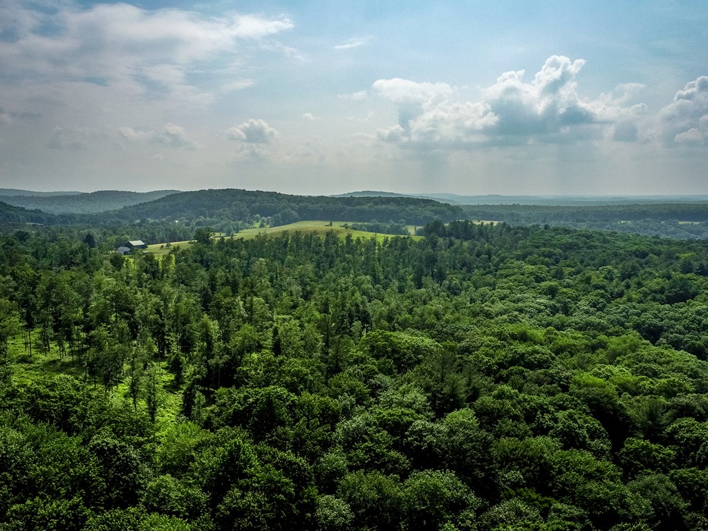 0 Work Drive Sigel, PA 15860 - Photo 6 of 10