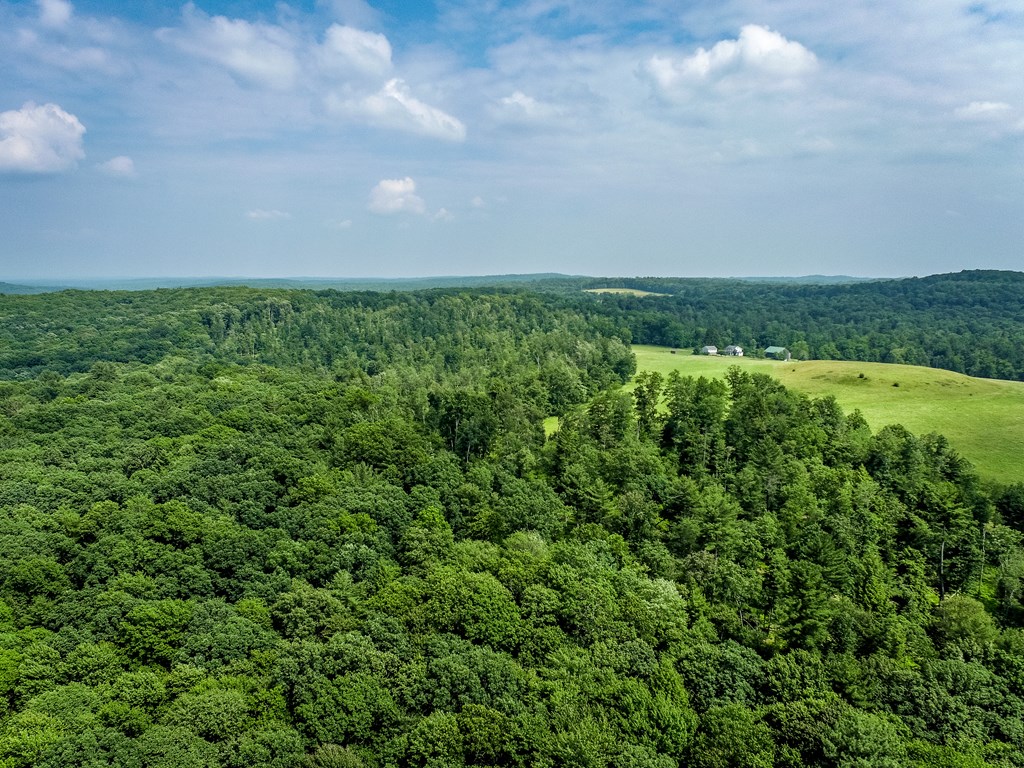 0 Work Drive Sigel, PA 15860 - Photo 8 of 10