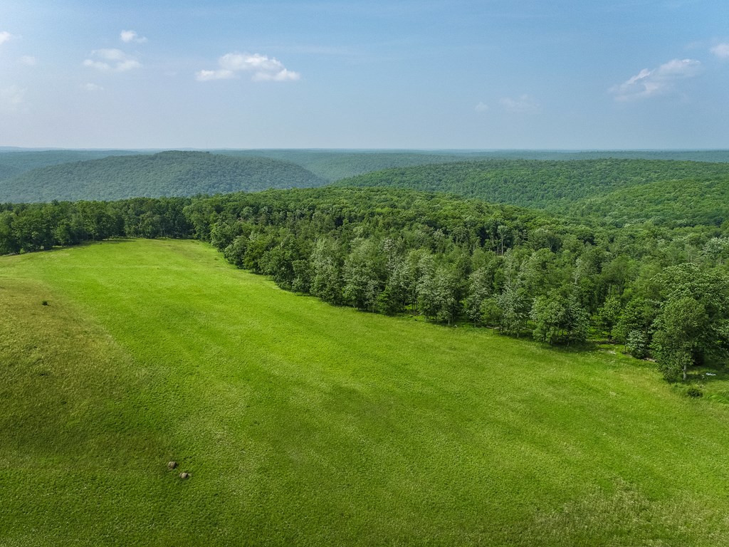 0 Work Drive Sigel, PA 15860 - Photo 9 of 10