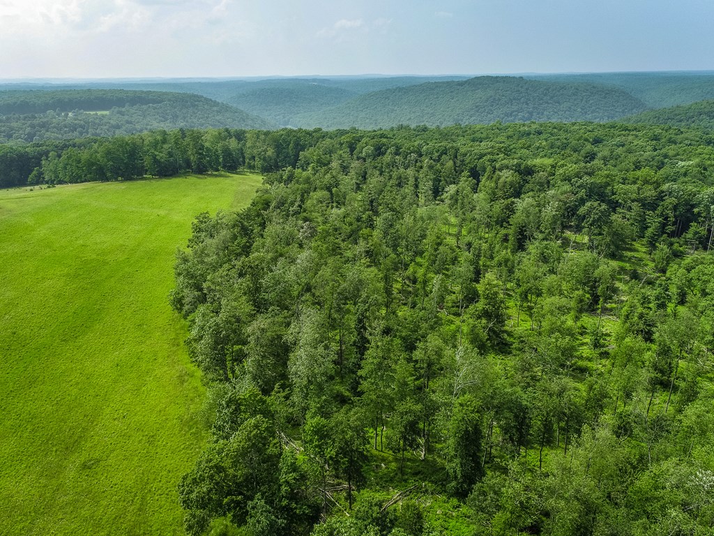 0 Work Drive Sigel, PA 15860 - Photo 10 of 10