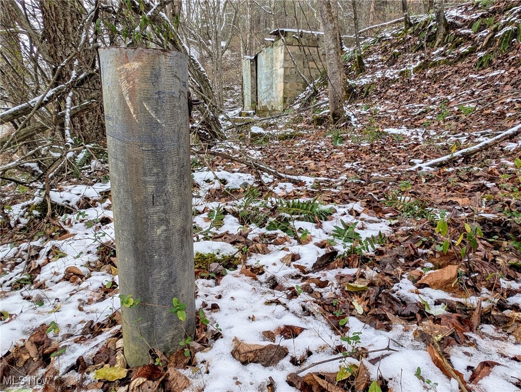 333 Little Italy Road Ivydale, WV 25113 - Photo 2 of 9