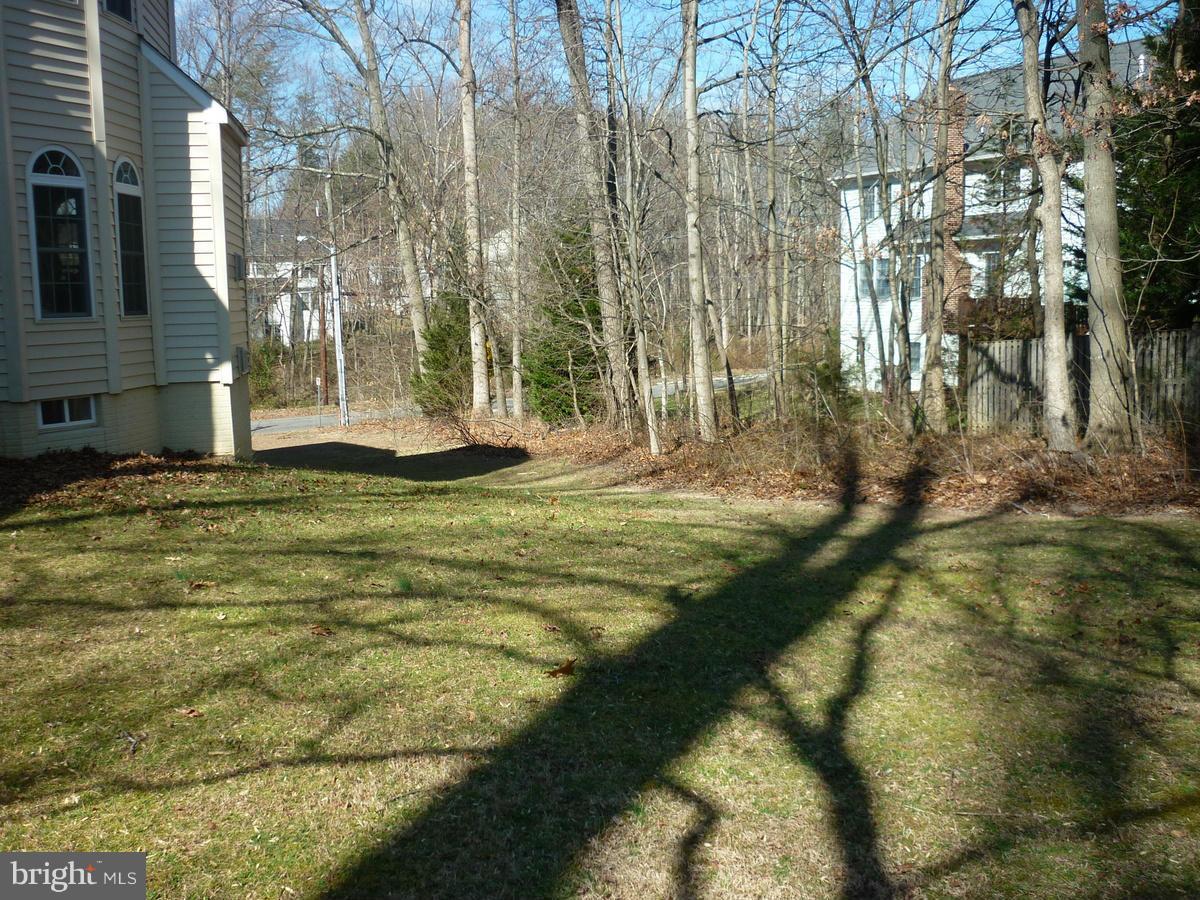 8609 Tuttle Road Springfield, VA 22152 - Photo 4 of 22 Exterior (Rear)
