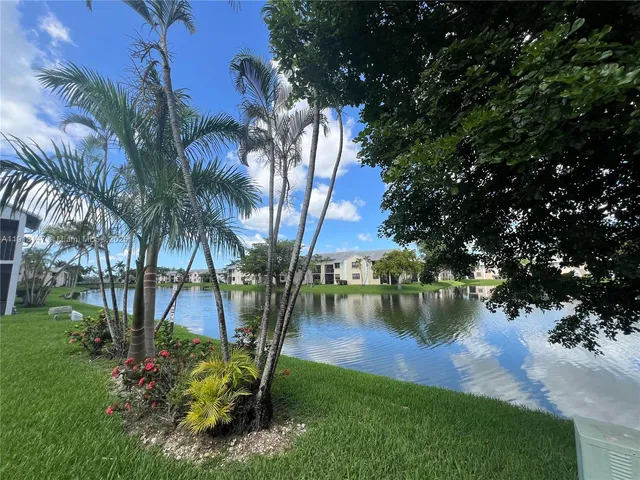 a view of a garden with a tree