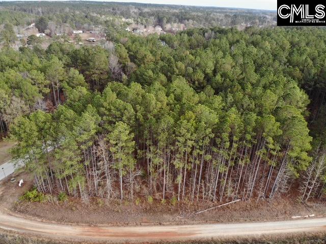 Lot 104 Pineland Road Chappells, SC 29037 - Photo 23 of 25