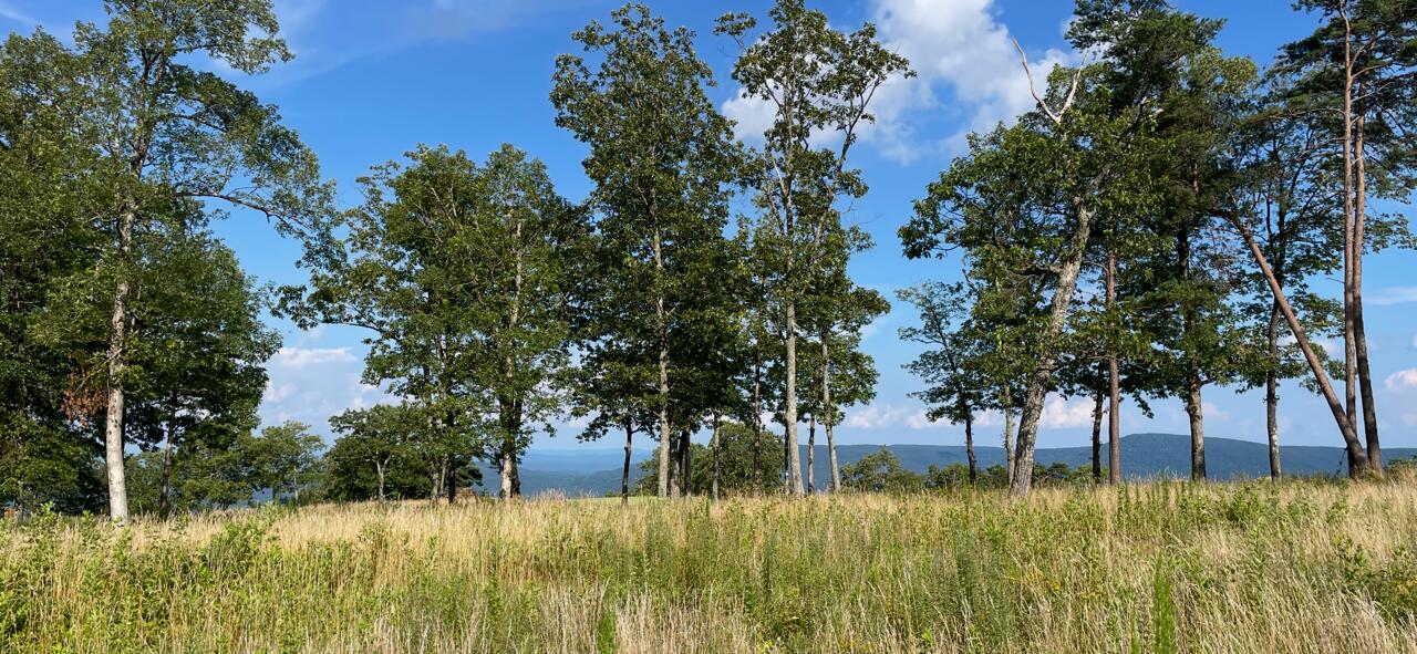 0 Clubhouse Lane, Unit PRC9 Rising Fawn, GA 30738 - Photo 5 of 24 Mclemore photos