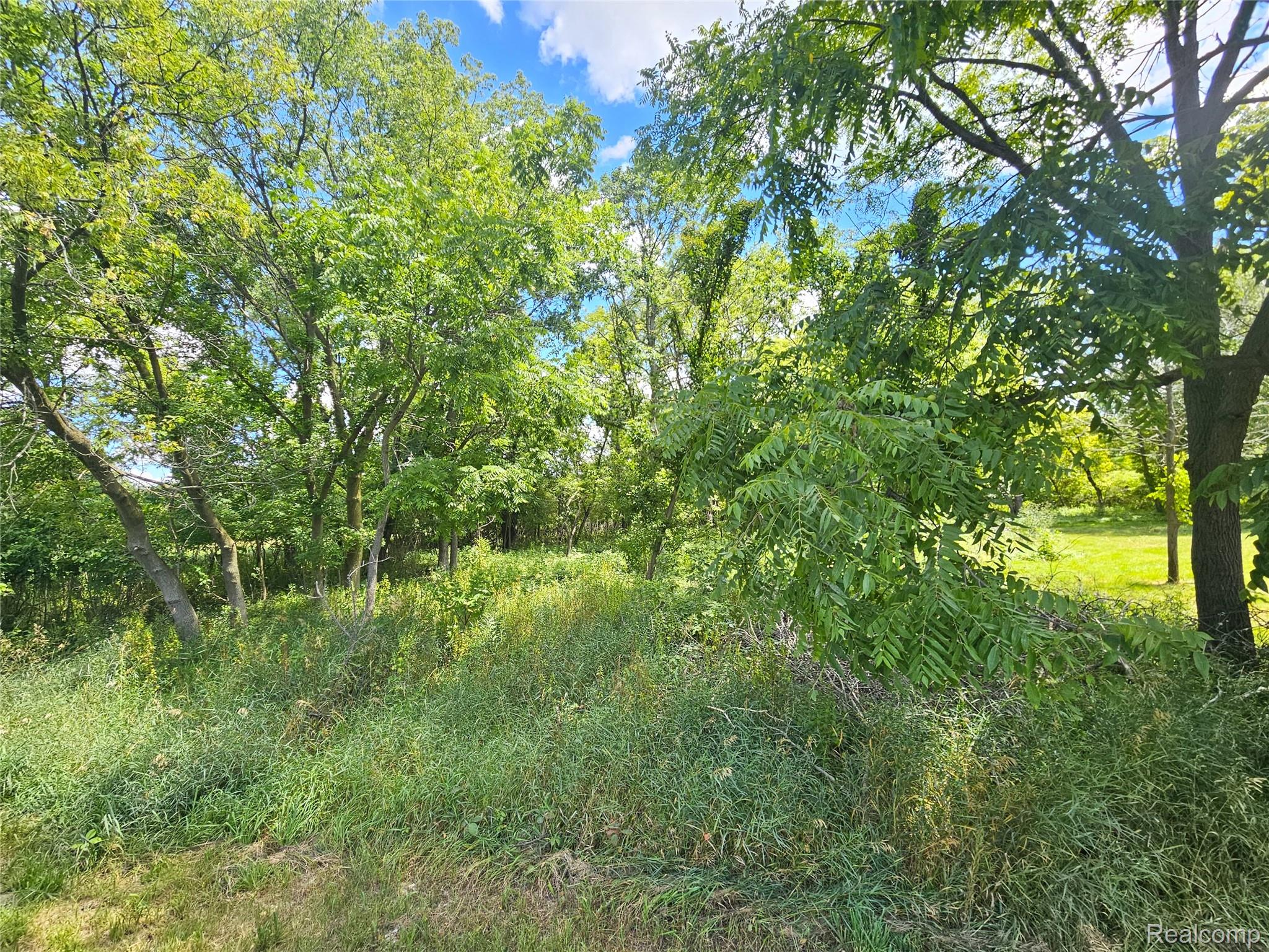 O O Byron Road Howell, MI 48855 - Photo 3 of 6 LAND