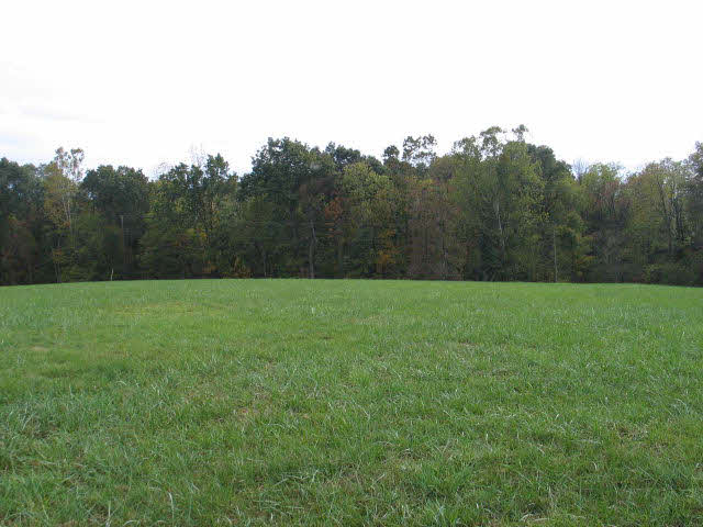 0 Vaughn Summit Road Luray, VA 22835 - Photo 6 of 15 Gallery Image 6