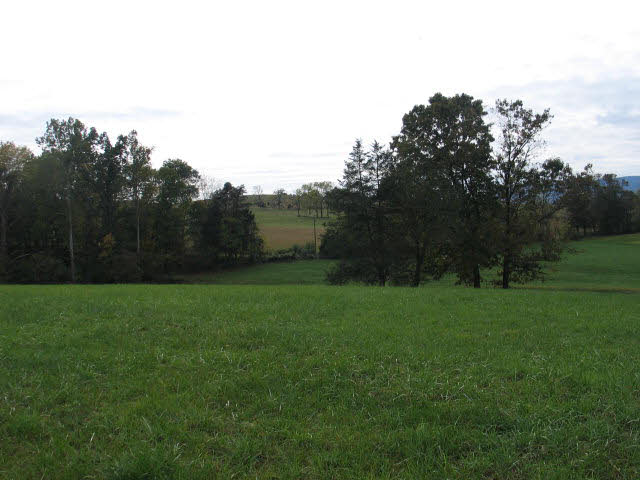 0 Vaughn Summit Road Luray, VA 22835 - Photo 7 of 15 Gallery Image 7