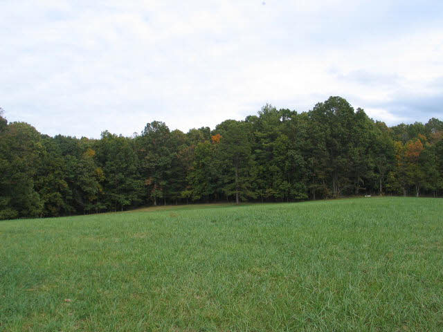 0 Vaughn Summit Road Luray, VA 22835 - Photo 10 of 15 Gallery Image 10