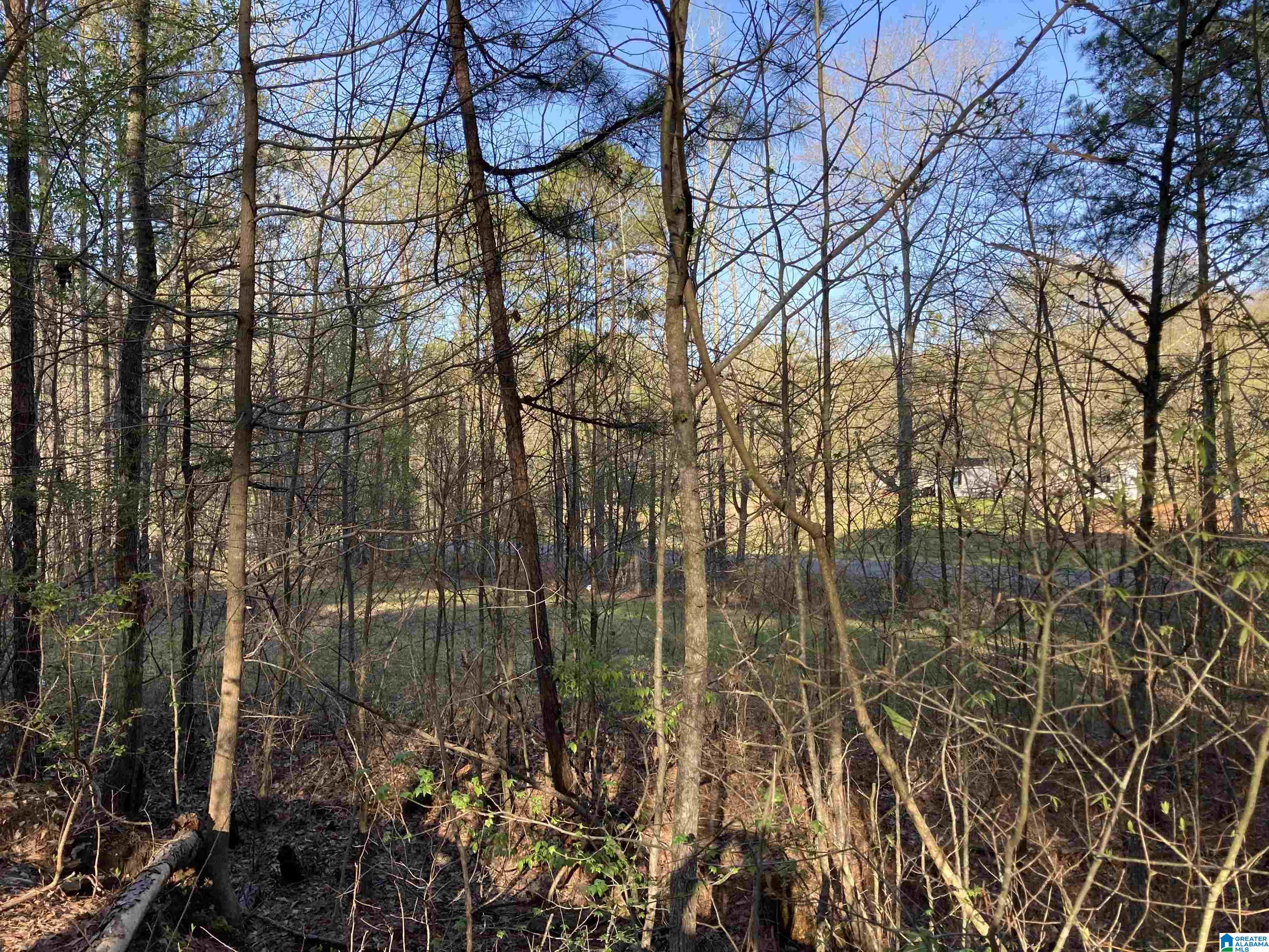 0 Jackson Trace Road, Unit 4 1 Talladega, AL 35160 - Photo 16 of 27