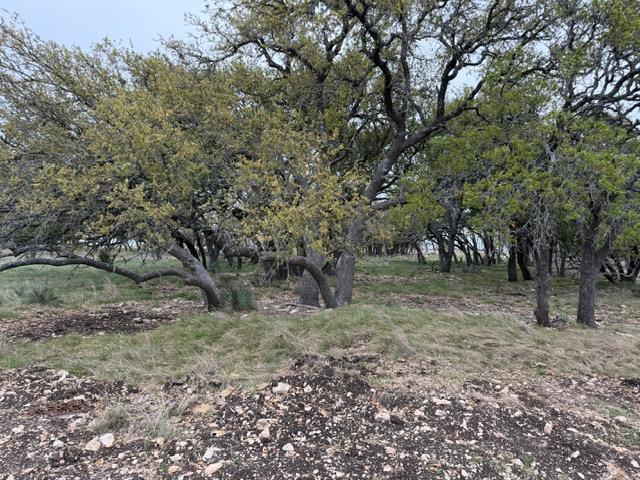 3150 Ranch Road Harper, TX 78631 - Photo 10 of 10