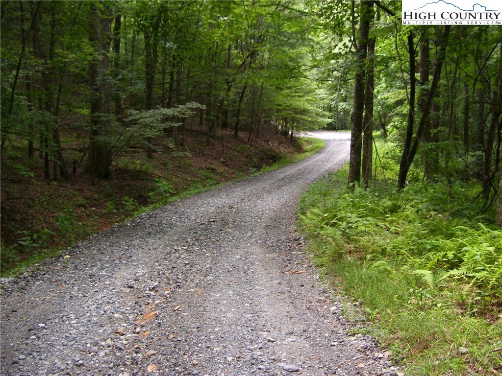 Pine Knoll Drive Fleetwood, NC 28626 - Photo 12 of 12