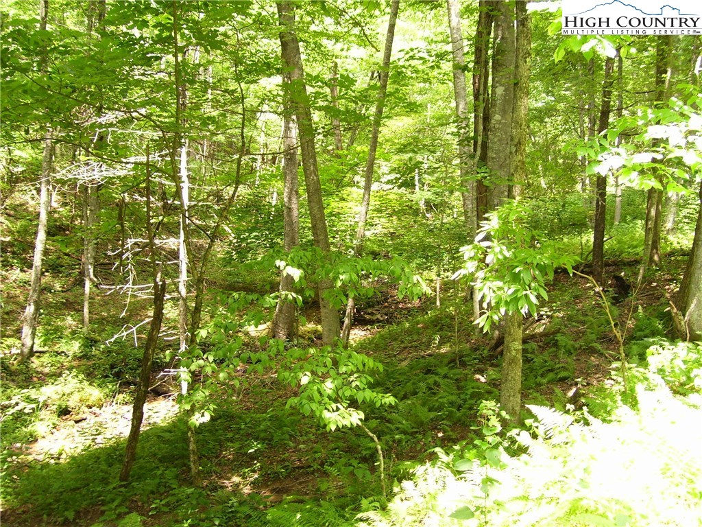 Pine Knoll Drive Fleetwood, NC 28626 - Photo 3 of 12