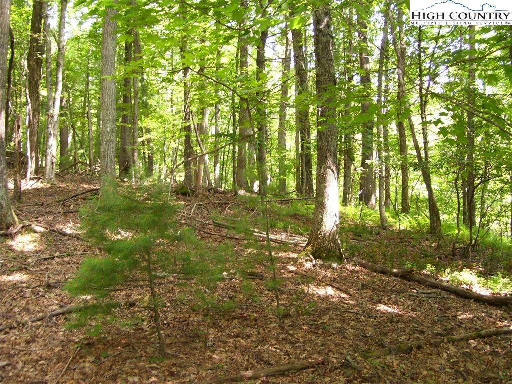 Pine Knoll Drive Fleetwood, NC 28626 - Photo 9 of 12