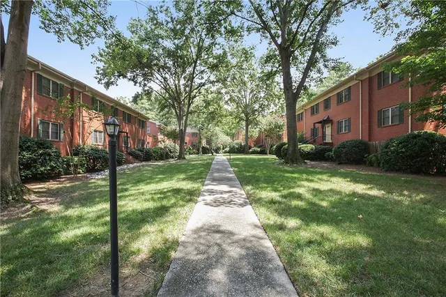 a view of a yard with plants