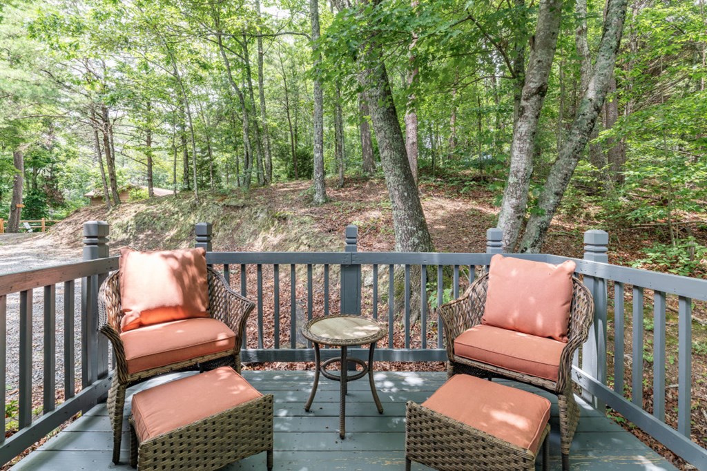323 Cheyenne Trail Blue Ridge, GA 30513 - Photo 3 of 3