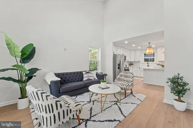 a living room with furniture potted plant and a table