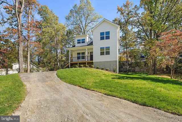 a view of a backyard with plants and large tree