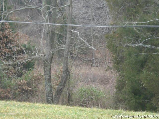 3981 Shiloh Road Southwest Corydon, IN 47112 - Photo 3 of 3 Gallery Image 3