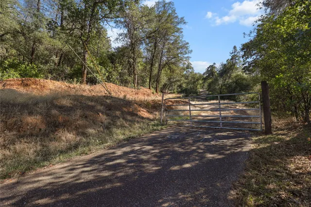 a view of outdoor space with lots of trees