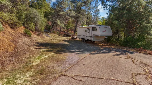 a view of a back yard with trees